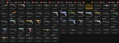 VP_SPENT.png