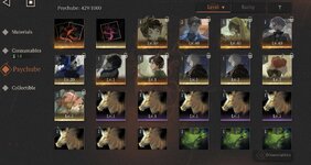 IMG_0737.jpeg