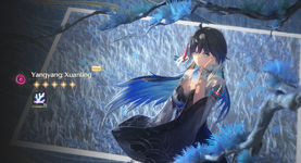 yangyang.png