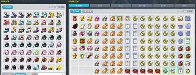 storage+inv.jpg
