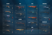 Image (23).png