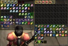 WoW SoD female warrior main bank bags 2078g.jpg