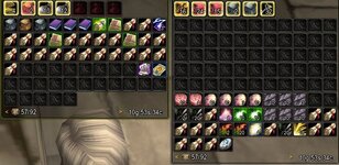 WoW SoD female warrior alt bank bags 10g.jpg