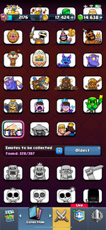 IMG_9981.png