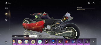 IMG_8384.jpeg