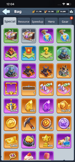 14.Bag-Special.PNG
