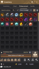 inventory 1.png