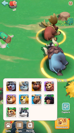24.png