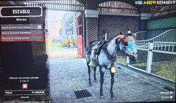 IMG_0889.jpeg