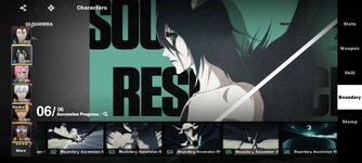 Screenshot_20260802-061914_BLEACH Soul Resonance.jpg