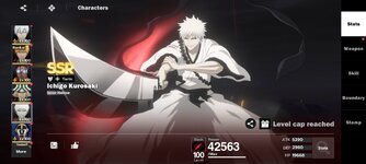 Screenshot_20260802-062050_BLEACH Soul Resonance.jpg