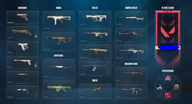 Account 1 Skins.png