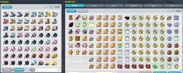 storage+inv.jpg