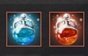 bdo 7 inf pots.jpg