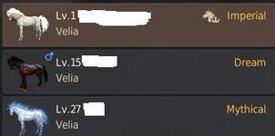 bdo 12 horses.jpg