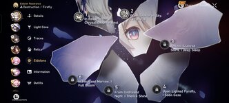 Screenshot_20260813_171858_com_HoYoverse_hkrpgoversea_ComboSDKActivity.jpg