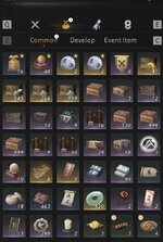 Bag.jpg