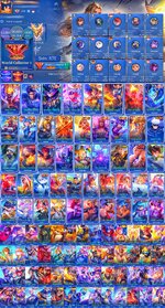 870 skin.jpg