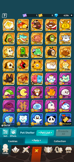 IMG_3202.png