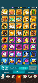 IMG_2939.png