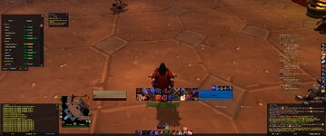 WoWScrnShot_050326_161125.jpg