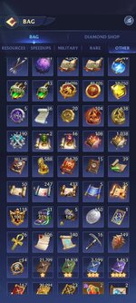 Bag2.jpg