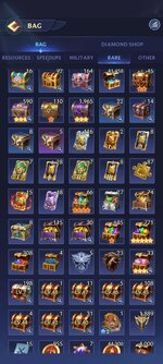 Bag2.jpg