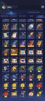 Bag5.jpg