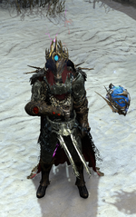 TemplarWatcherSetWithSynthesisPet.png