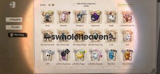 IMG_3290.jpeg