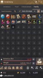 Family inventory.png