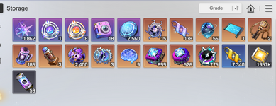 5. bag.png