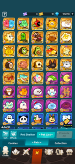 IMG_7428.png