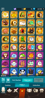IMG_3351.png
