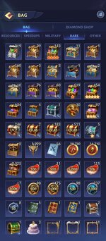 Bag2.jpg