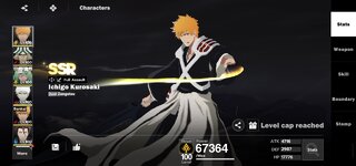 Screenshot_20260902_231937_BLEACH Soul Resonance.jpg
