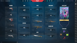 Collection.PNG