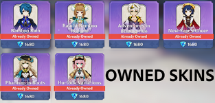 Owned Skins.png