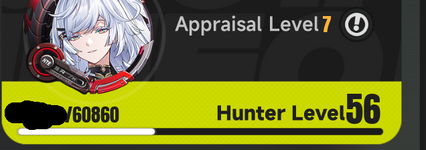 account level.png