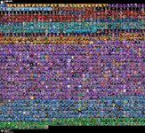 IMG_3796.jpeg