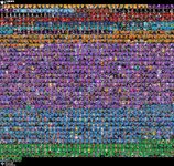 IMG_3792.jpeg