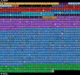 IMG_3793.jpeg