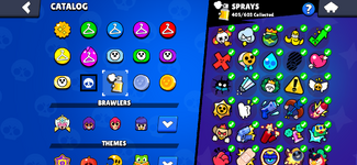 IMG_3377.png