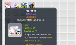 1790502679026.png