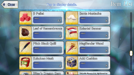 ITEM.17.png