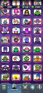IMG_1446.png