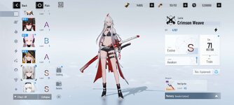 Screenshot_2026-09-29-18-04-36-736_com.kurogame.gplay.punishing.grayraven.en.jpg