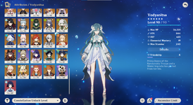 Constellation Level_4.png