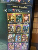 06_duplicate_champions.jpg