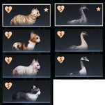 14.png